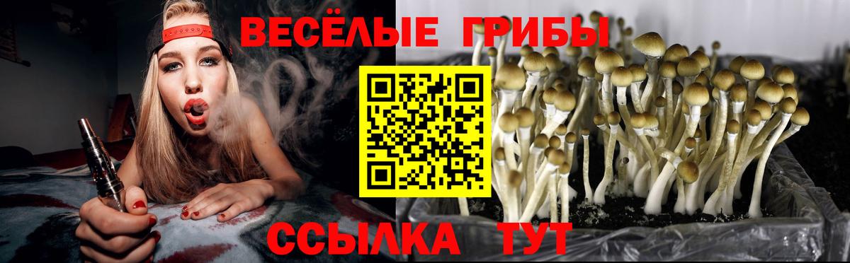 Псилоцибиновые грибы прущие грибы Ачхой-Мартан