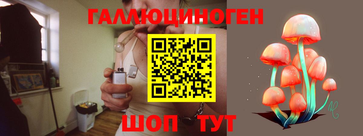 Ачхой-Мартан  Галлюциногенные грибы MAGIC MUSHROOMS  Вход с VPN  Псилоцибиновые грибы MAGIC MUSHROOMS 